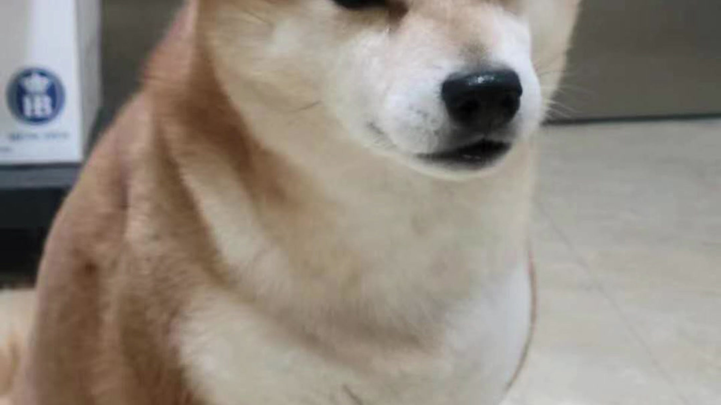 全部影片